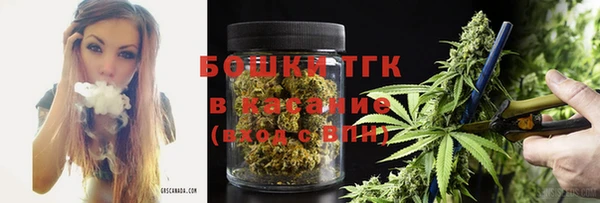 шишки Арсеньев