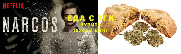 шишки Арсеньев