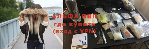 шишки Арсеньев