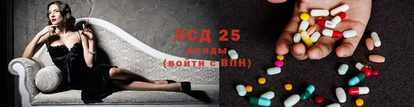 шишки Арсеньев