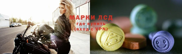 прущие грибы Пересвет