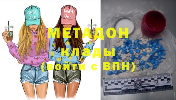 шишки Арсеньев