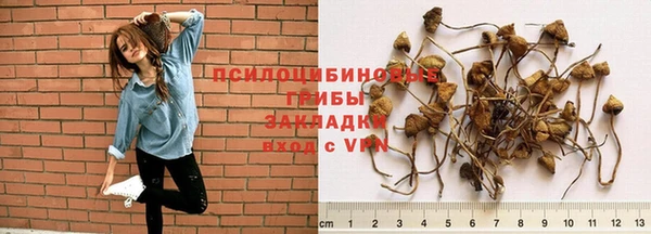 мет Аркадак